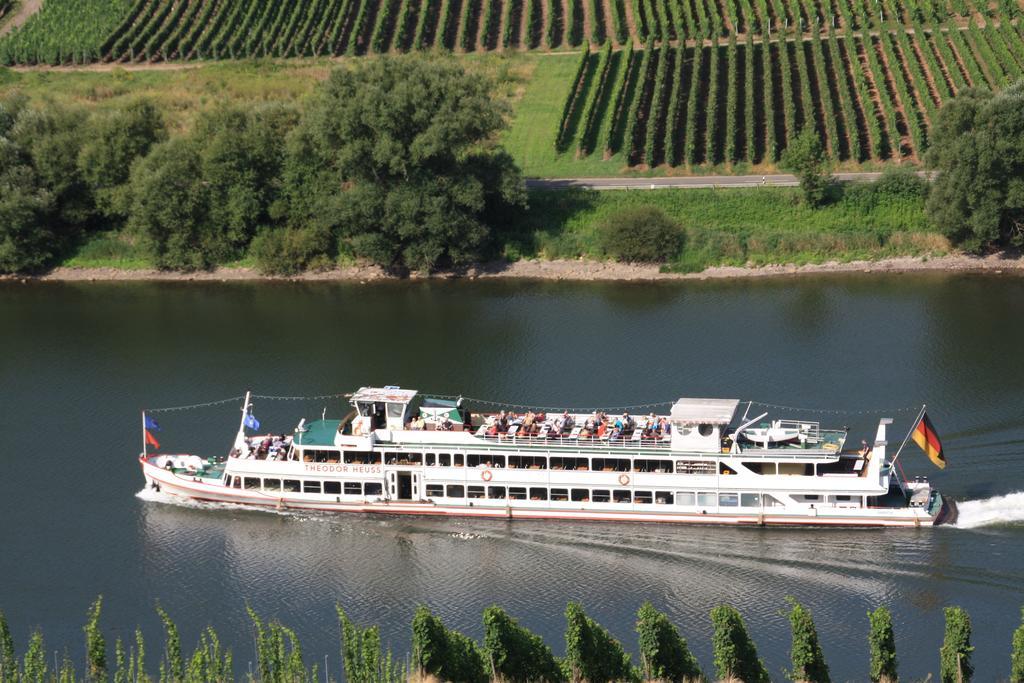 Weingut-Brennerei-Gaestehaus Emil Dauns Reil Exterior foto