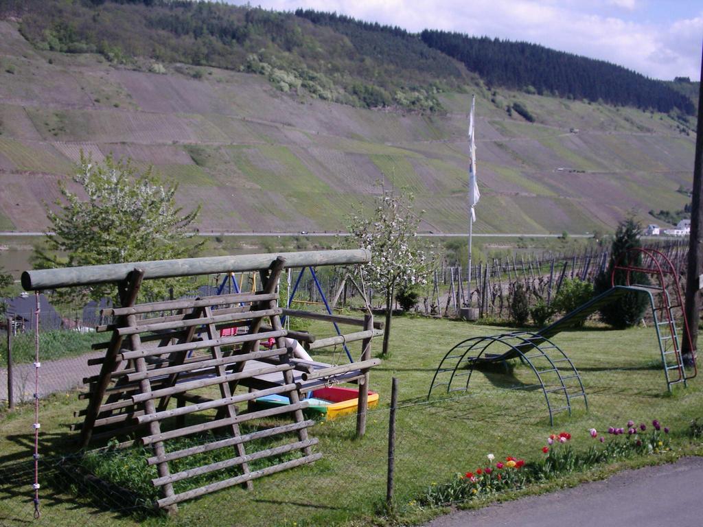 Weingut-Brennerei-Gaestehaus Emil Dauns Reil Exterior foto