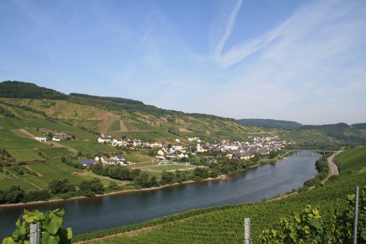 Weingut-Brennerei-Gaestehaus Emil Dauns Reil Exterior foto