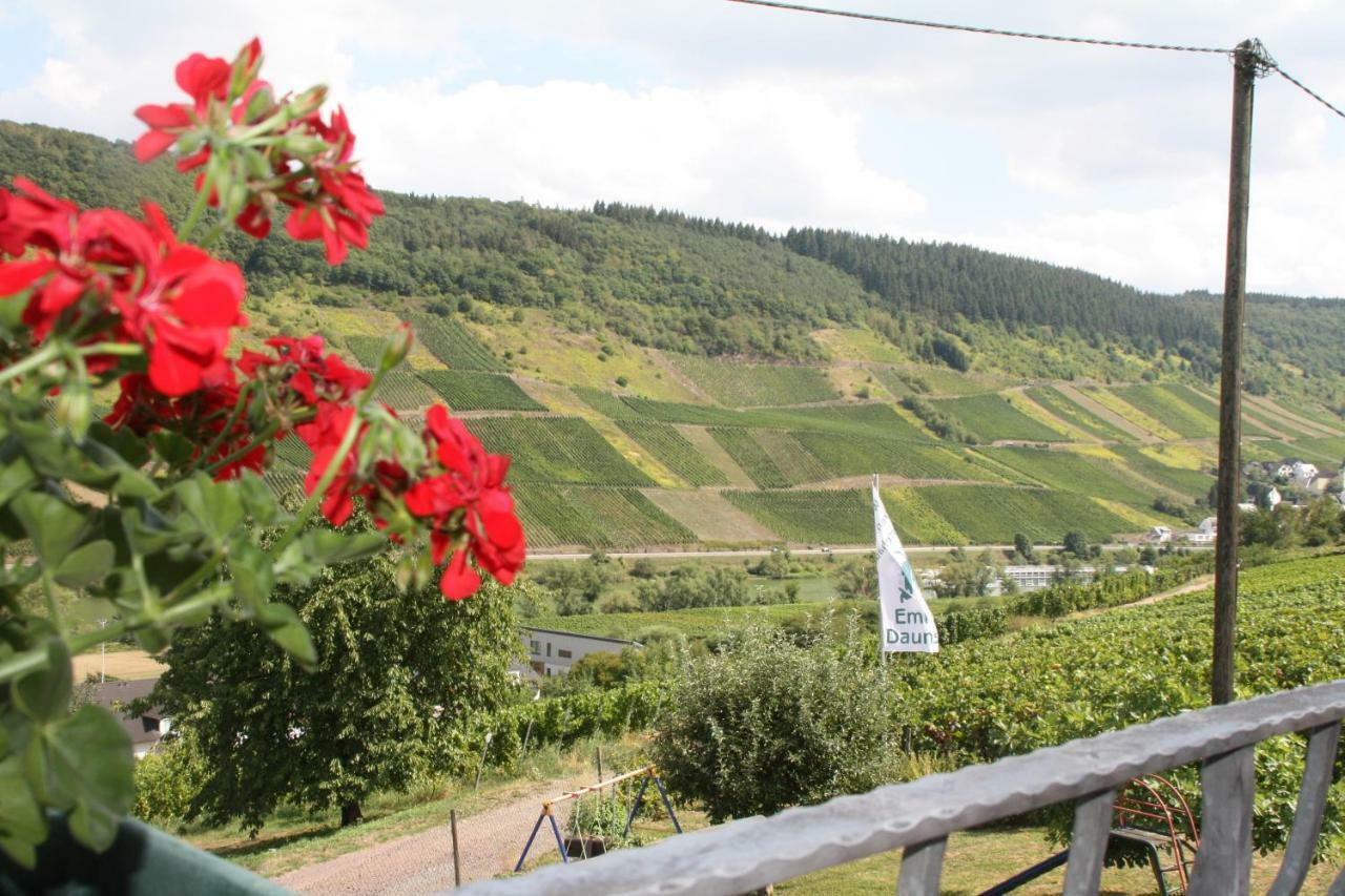 Weingut-Brennerei-Gaestehaus Emil Dauns Reil Exterior foto